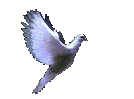 Pigeons and doves were often used to send messages